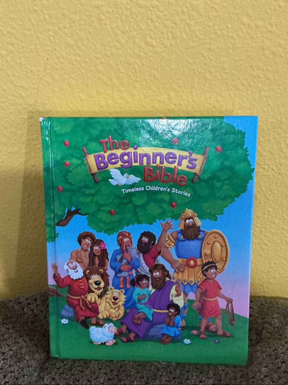 - Kids Picture Storybook (Green/Blue) the beginners bible timeless children’s